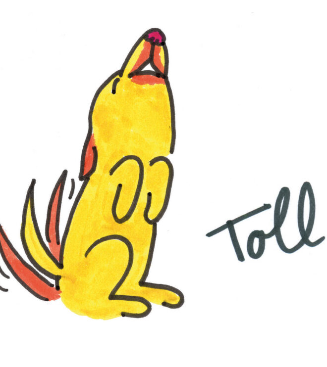 12 Kommunikationskarten Grundschule, einsprachig deutsch